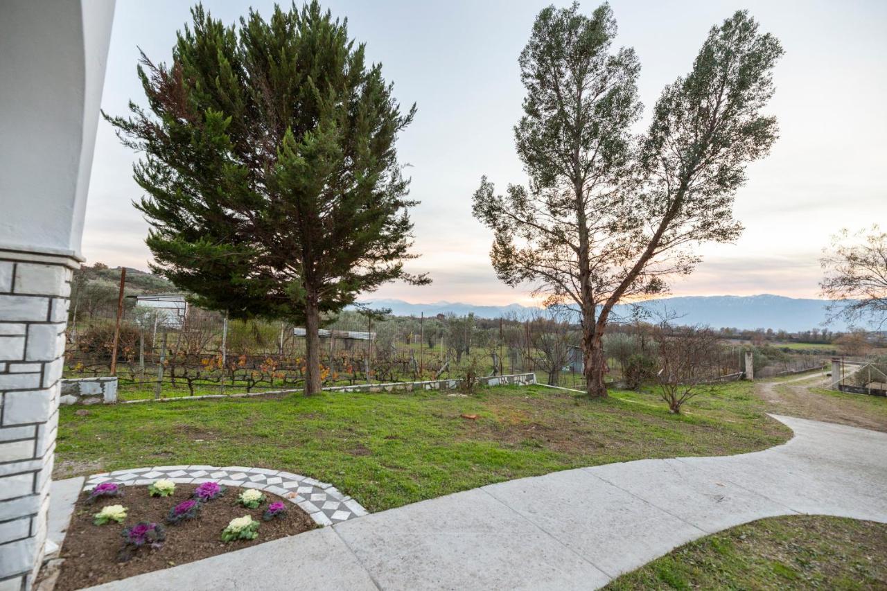 Τrικαλα - Μετεorα-Villa Toscana Tríkala المظهر الخارجي الصورة